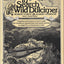 In Search of the Wild Dulcimer