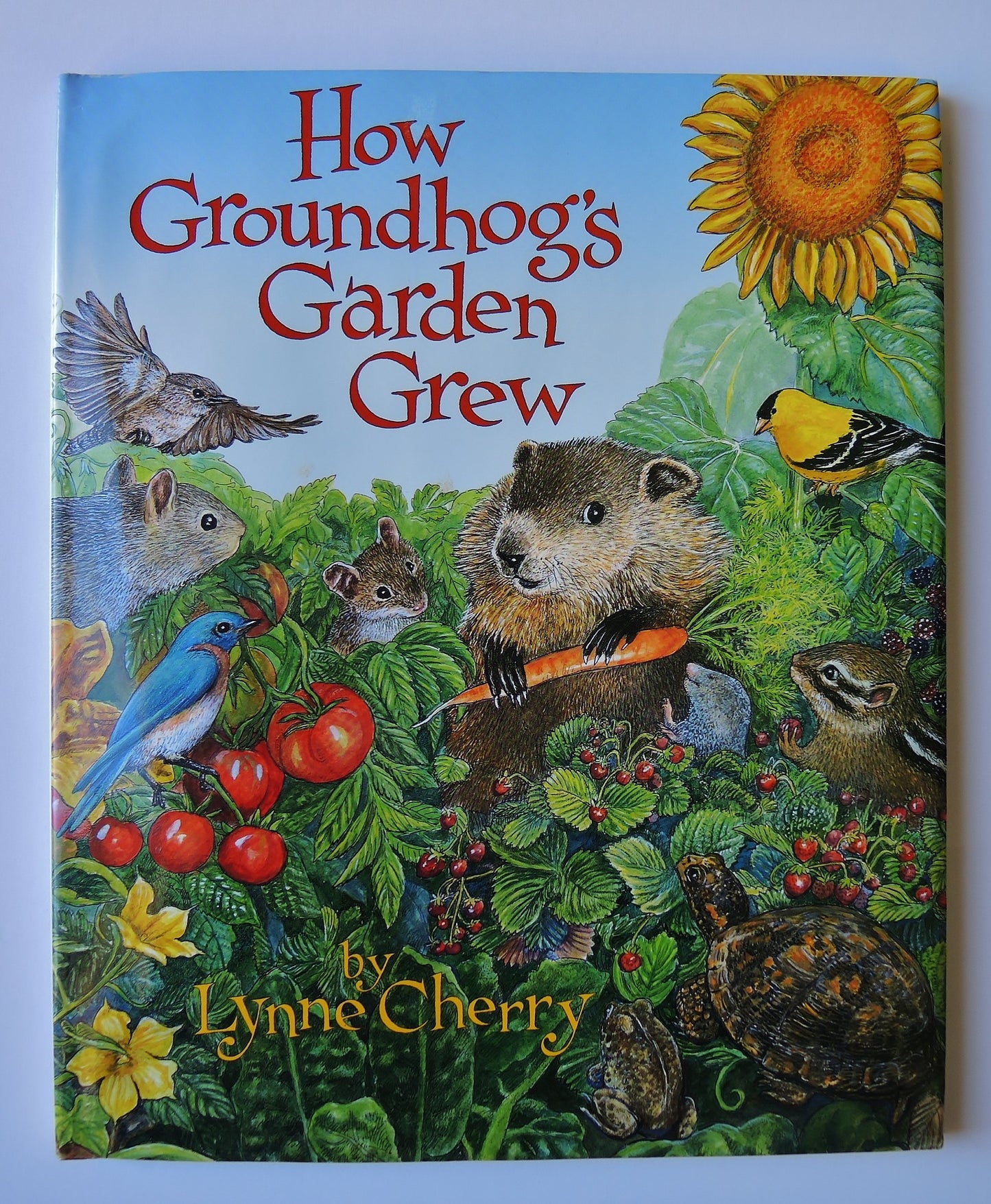 How Groundhog's Garden Grew by Cherry, Lynne