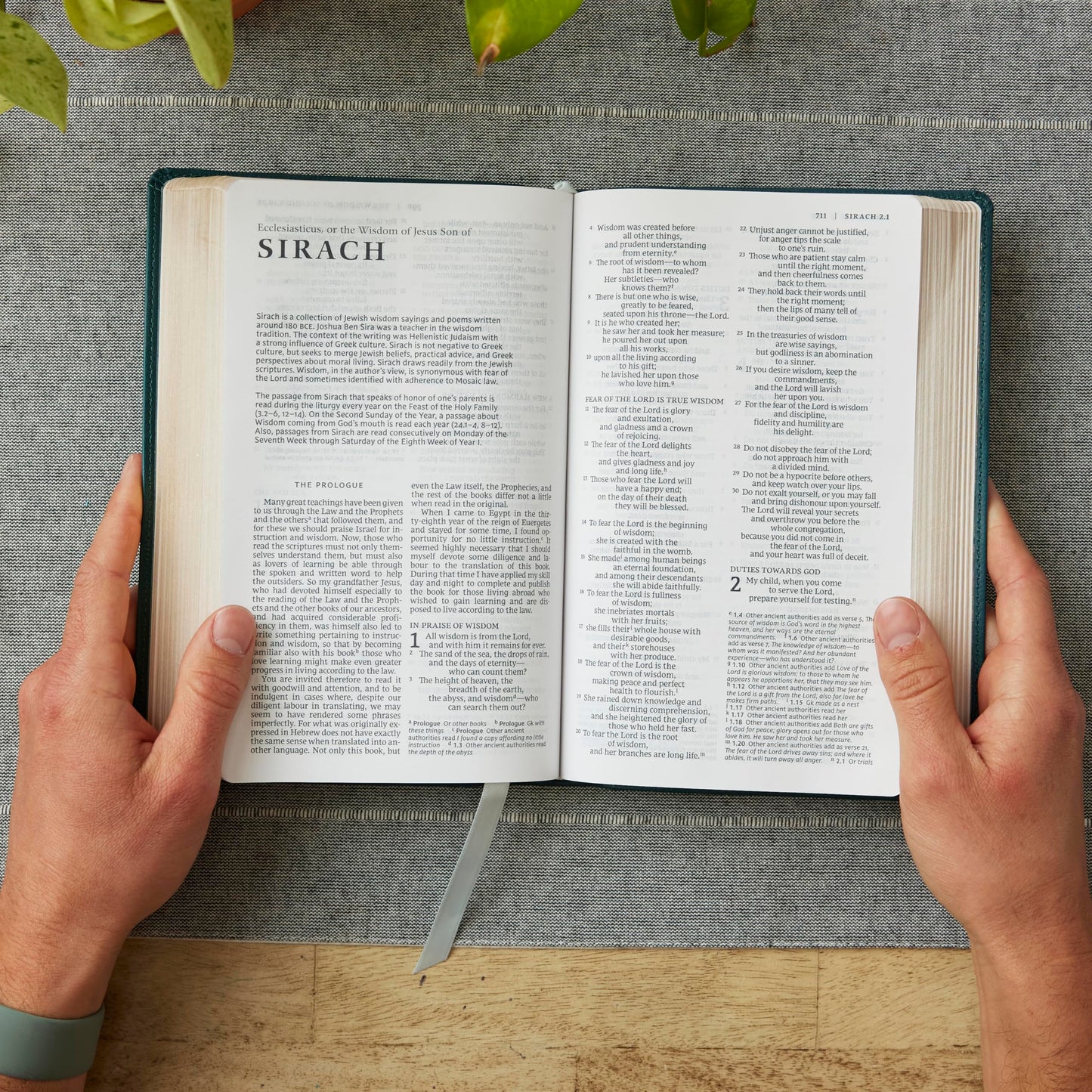 NRSV Catholic Edition Gift Bible, Brown Leathersoft (Comfort Print, Holy Bible, Complete Catholic Bible, NRSV CE): Holy Bible