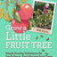 Grow a Little Fruit Tree: Simple Pruning Techniques for Small-Space, Easy-Harvest Fruit Trees