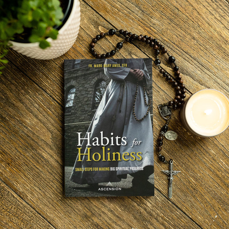 Habits for Holiness: Small Steps for Making Big Spiritual Progress — back cover