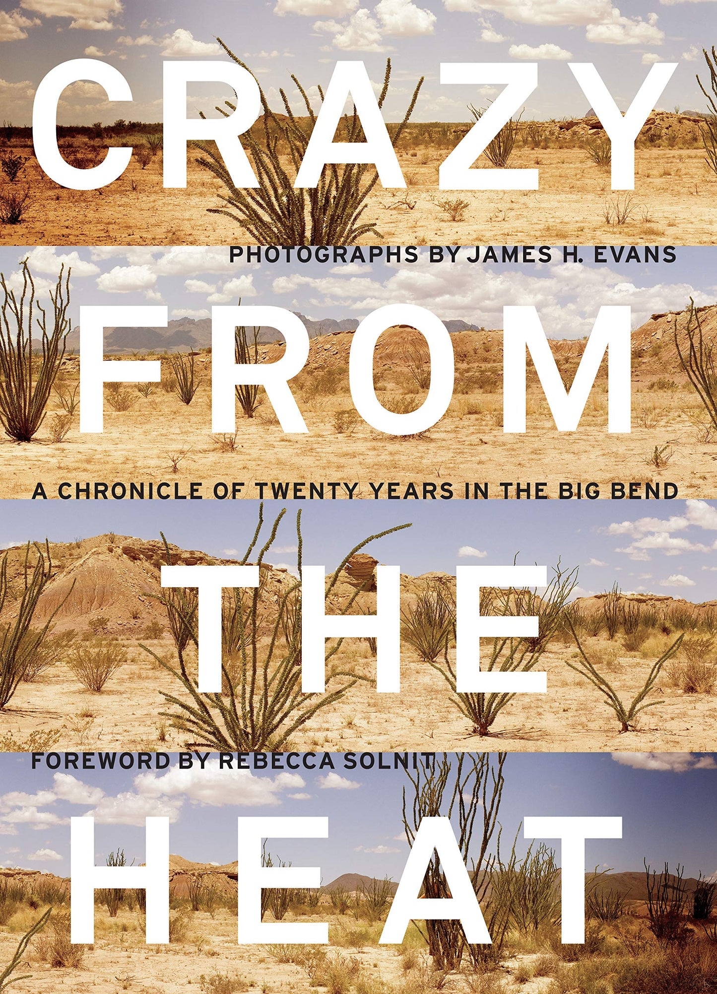 Crazy from the Heat: A Chronicle of Twenty Years in the Big