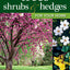 Trees, Shrubs & Hedges for Your Home: Secrets for Selection and Care (Creative Homeowner) 1,000+ Plant Descriptions and 550 Photos - Design Your Landscape and Enhance Your Outdoor Space (Landscaping)