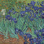 Pomegranate Vincent Van Gogh - Irises: 1,000 Piece Puzzle