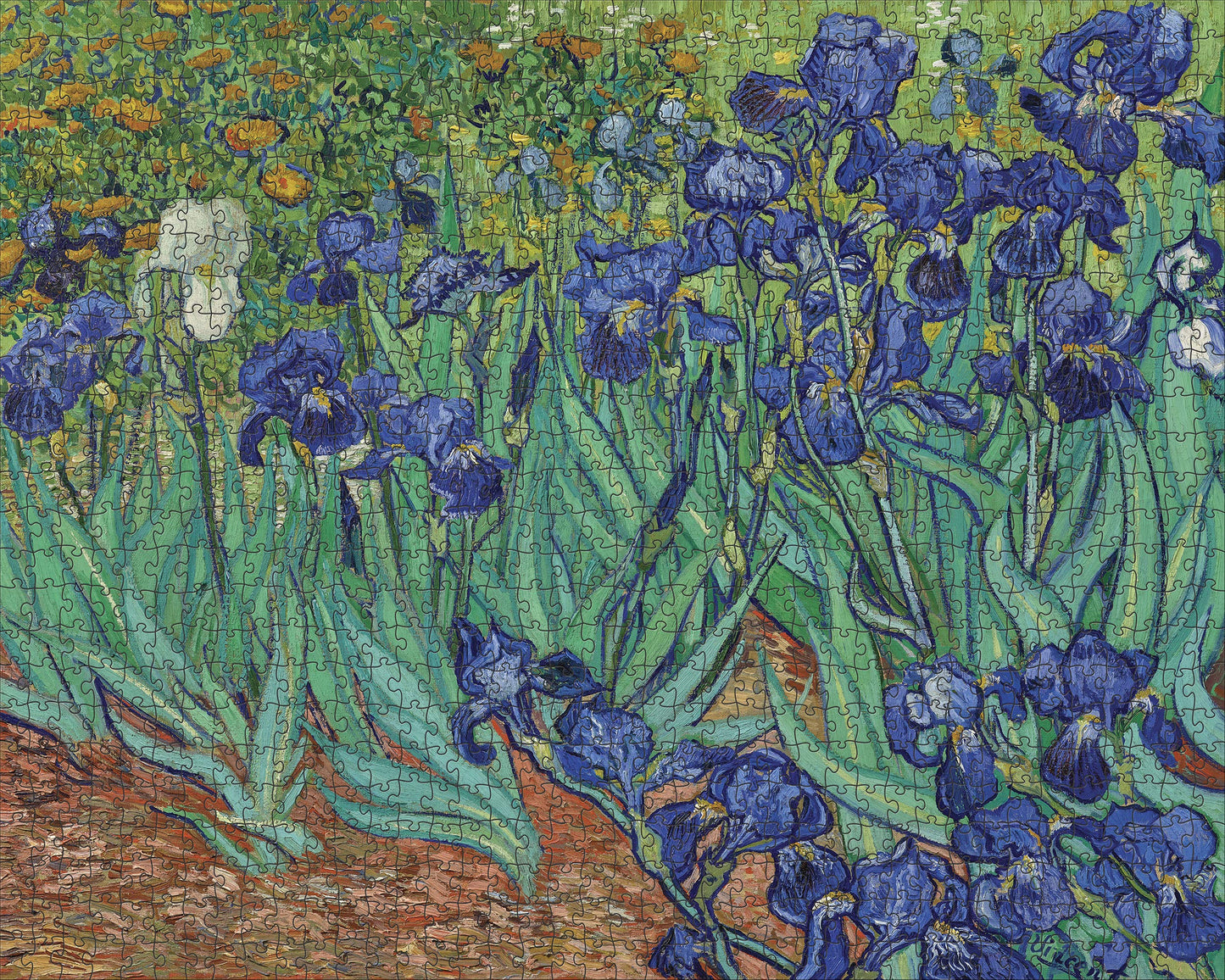 Pomegranate Vincent Van Gogh - Irises: 1,000 Piece Puzzle