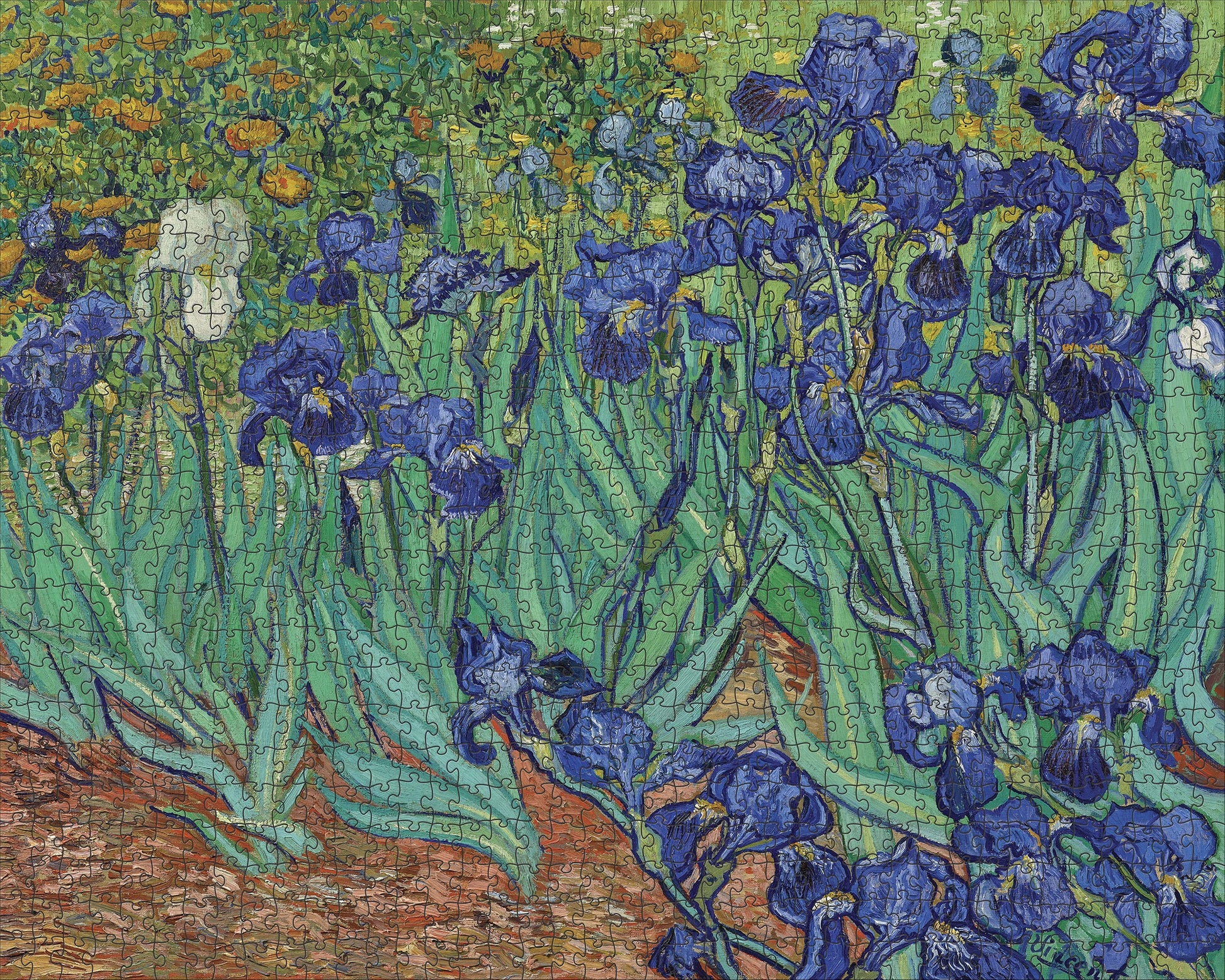 Pomegranate Vincent Van Gogh - Irises: 1,000 Piece Puzzle