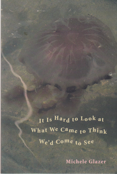 It Is Hard to Look at What We Came to Think Wed Come to See (Pitt Poetry Series)