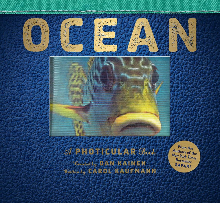 Ocean: A Photicular Book by Kainen, Dan