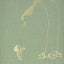 The Giving Tree (Slipcased Mini Edition) by Silverstein