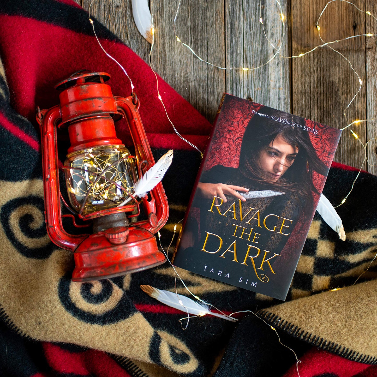 Ravage the Dark (Scavenge the Stars, 2)