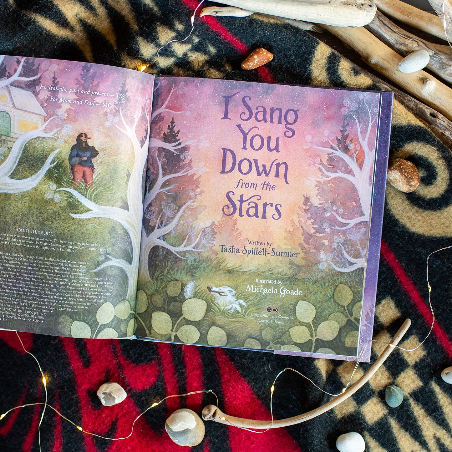 I Sang You Down from the Stars