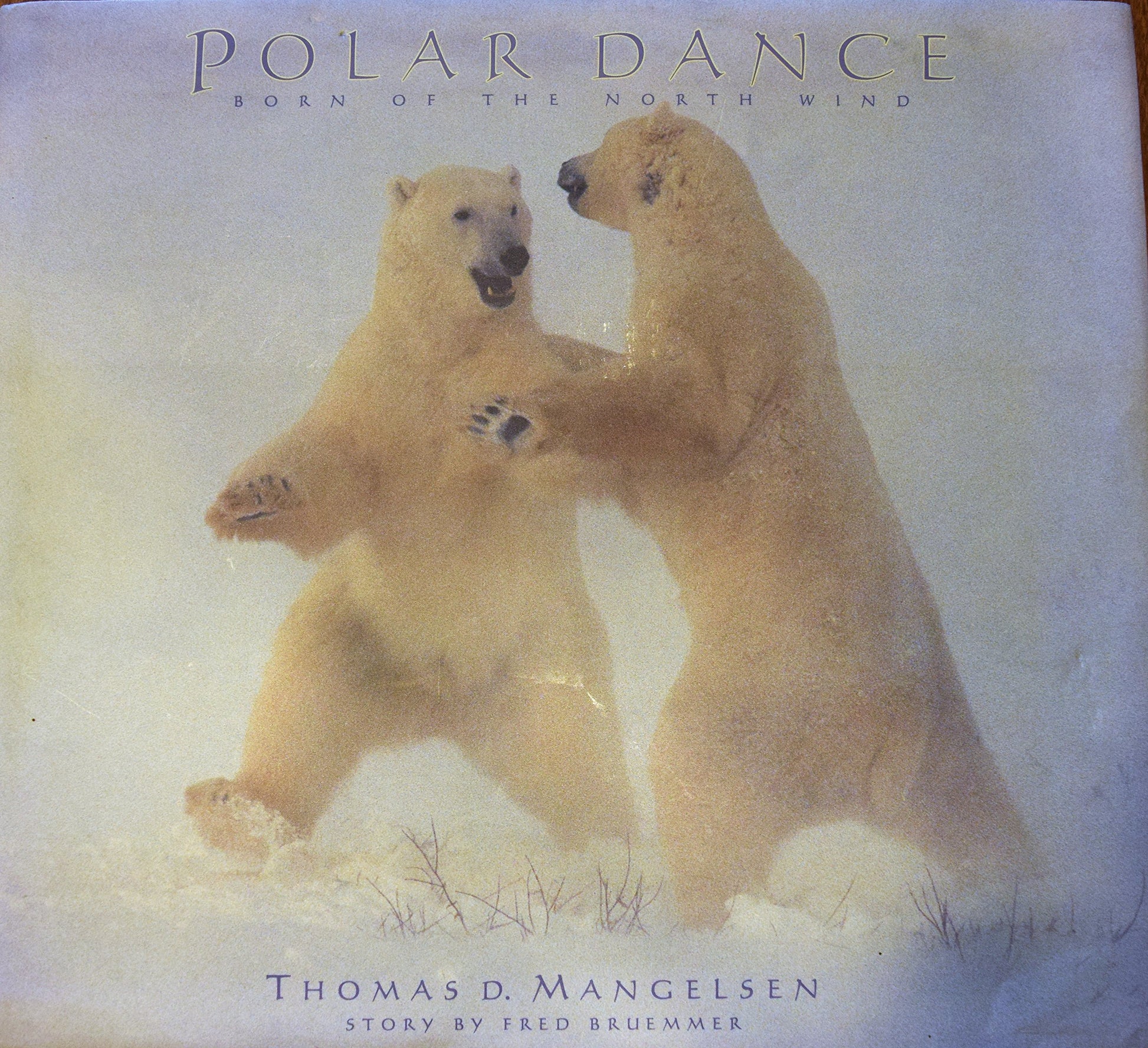 Polar Dance: Born of the North Wind
