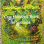 One Hundred Years of Solitude by Gabriel Garcia Marquez