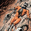 Animal Man 6: Flesh and Blood