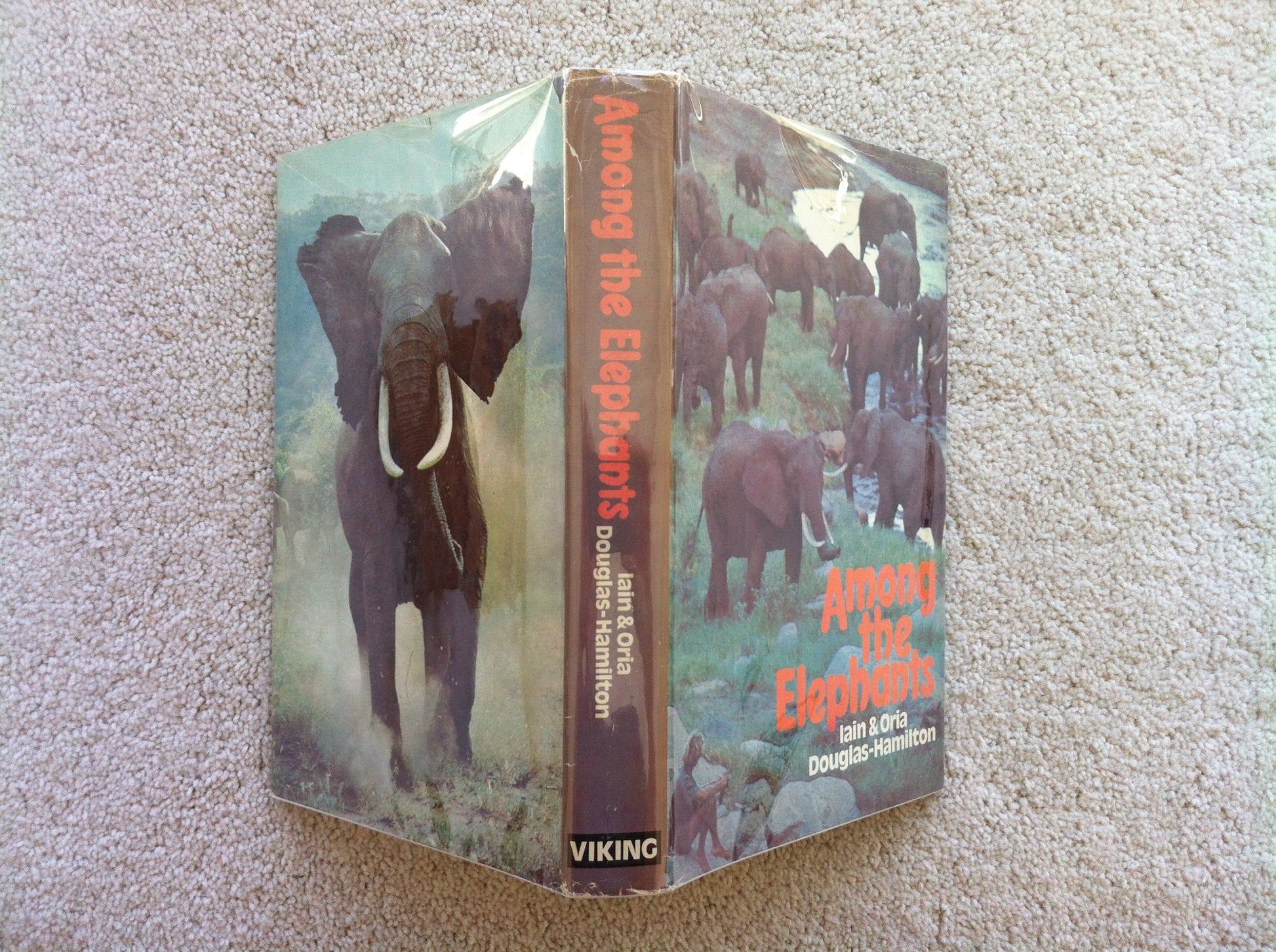 Among the Elephants
