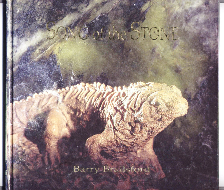 Song of the Stone by Brailsford, Barry