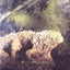 Song of the stone