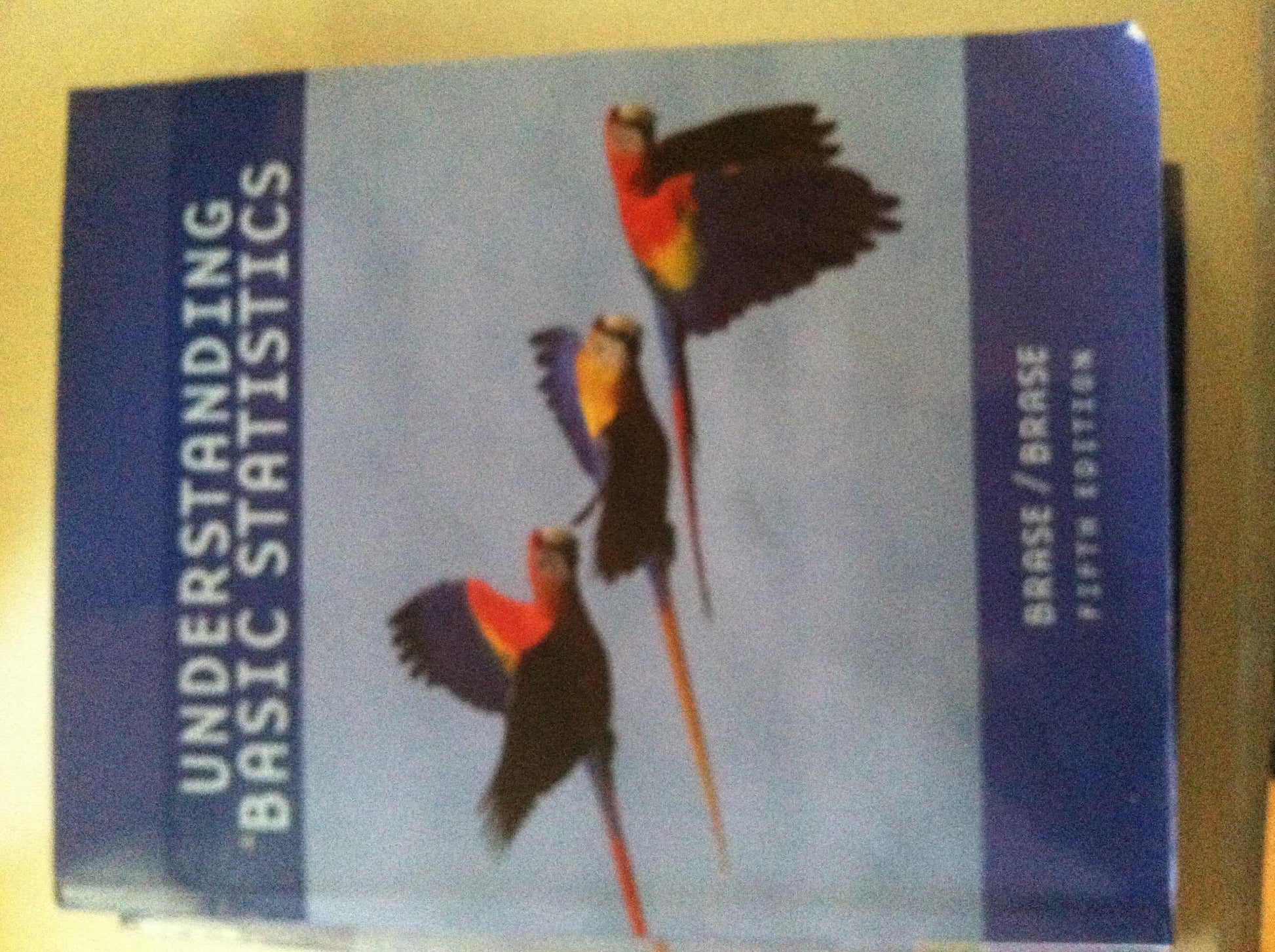 Understanding Basic Statistics