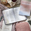 Refreshed: Meeting with Jesus, Becoming Love in Action Devotional Guide