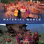 Material World: A Global Family Portrait by Peter Menzel