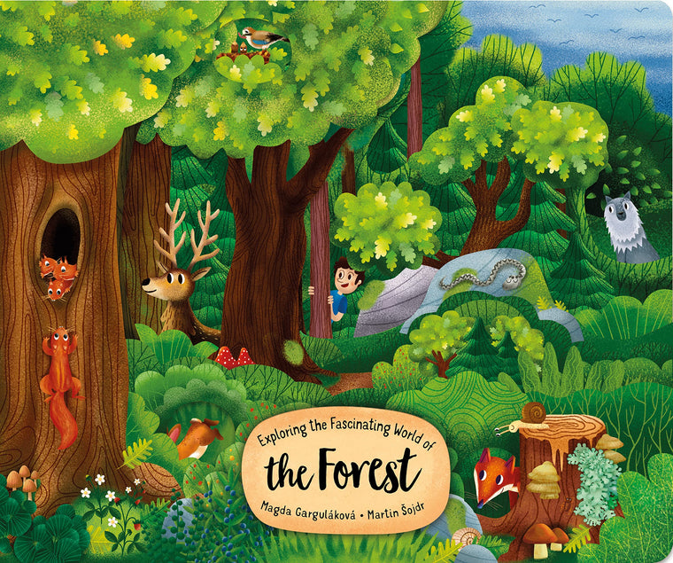 Exploring the Fascinating World of the Forest (Happy Fox Books) Board Book for Kids Ages 3-6 - Walk Deeper into the Trees with Each Page Turn, with Educational Facts and Vocabulary Words