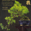 Bonsai Masterclass
