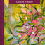 Iscador: Mistletoe and Cancer Therapy