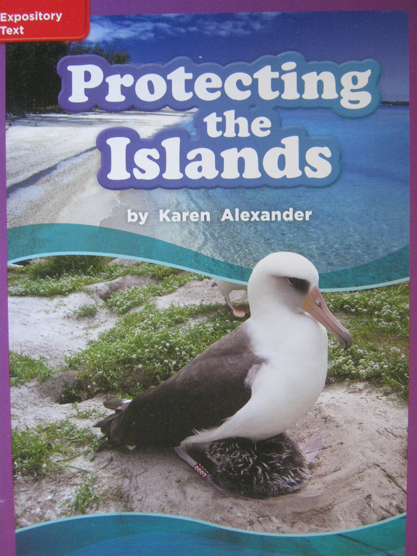 Reading Wonders Leveled Reader Protecting the Islands: ELL Unit 2 Week 4 Grade 3 (ELEMENTARY CORE READING)
