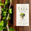 How to Read a Tree: Clues and Patterns from Bark to Leaves (Natural Navigation)