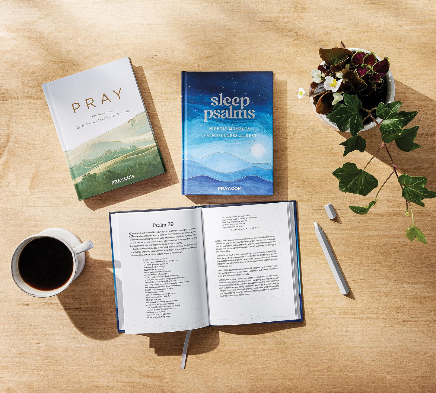 Pray: Daily Moments to Quiet Your Mind and Center Your Soul - Prayer Devotional