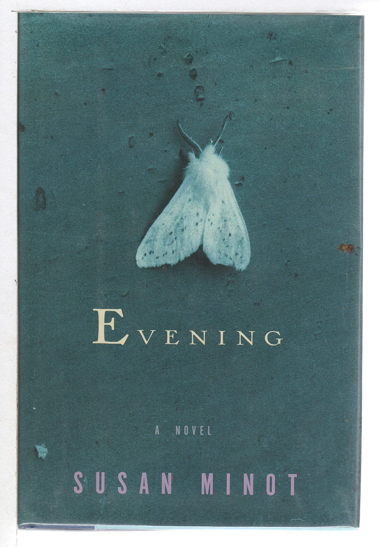 Evening by Minot, Susan