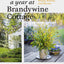A Year at Brandywine Cottage: Six Seasons of Beauty, Bounty, and Blooms