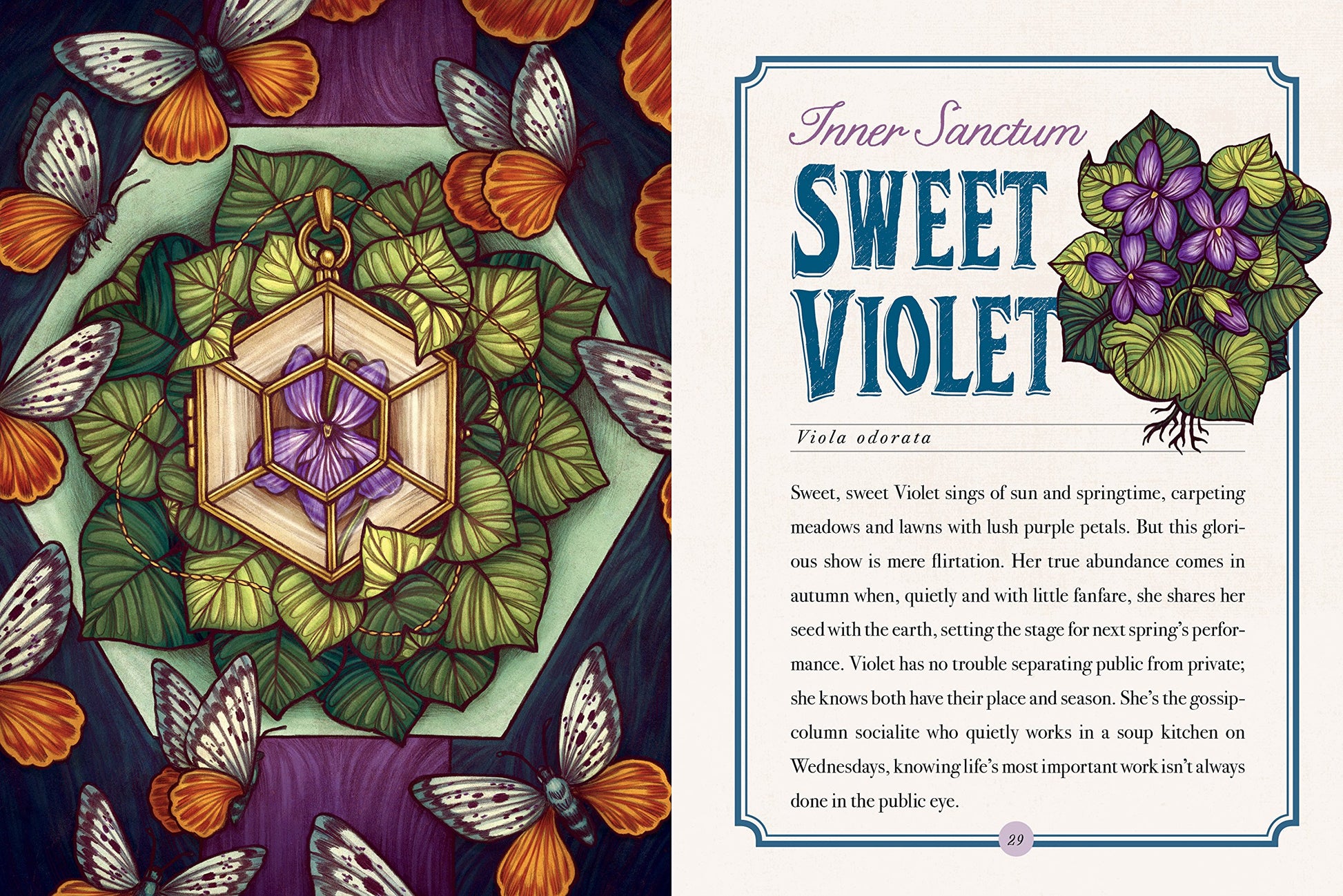The Illustrated Herbiary: Guidance and Rituals from 36 Bewitching Botanicals (Wild Wisdom)