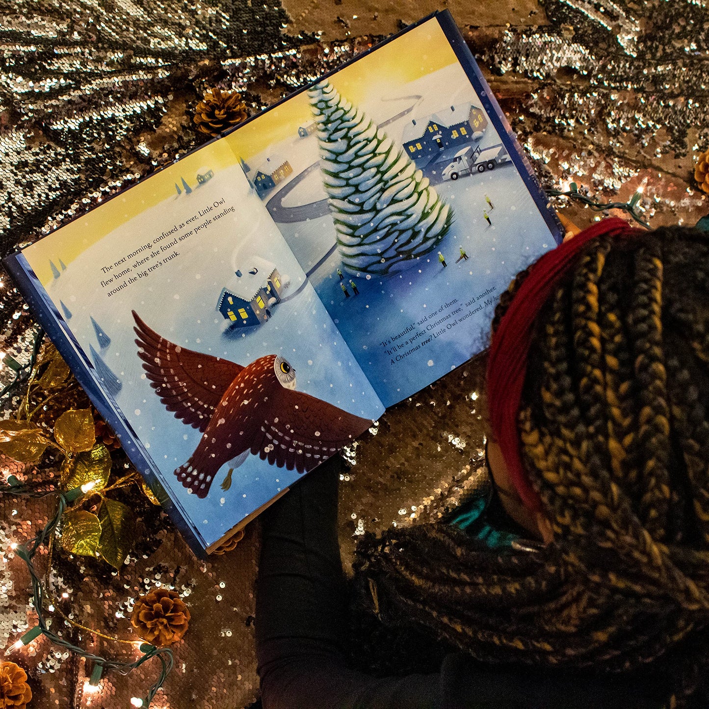 The Christmas Owl: Based on the True Story of a Little Owl N
