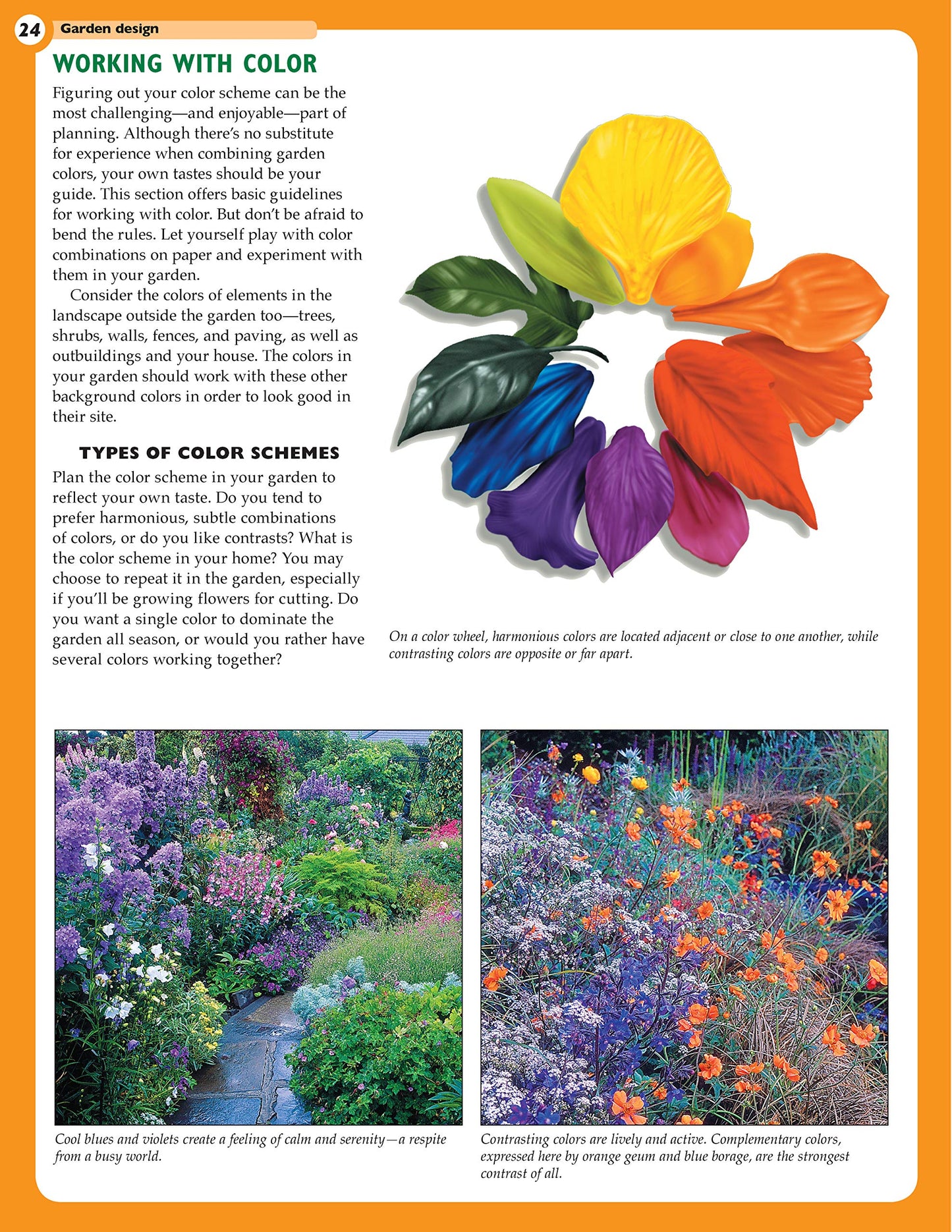 Home Gardener's Annuals: The Complete Guide to Growing 37 Flowers in Your Backyard (Creative Homeowner) Step-by-Step Photos & Essential Information to Design & Maintain Your Garden (Specialist Guide)