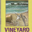 Vineyard Fear : A Martha's Vineyard Mystery