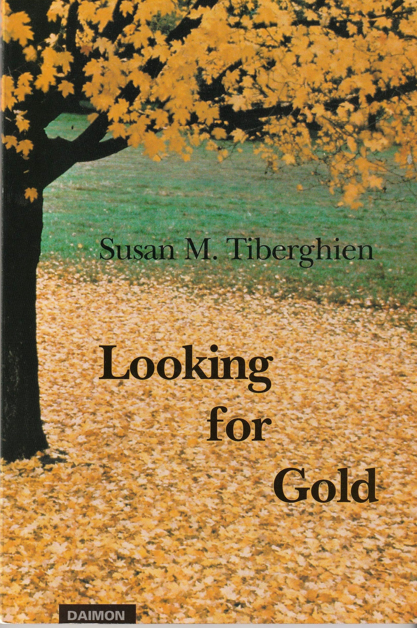 Looking for Gold: A Year in Jungian Analysis