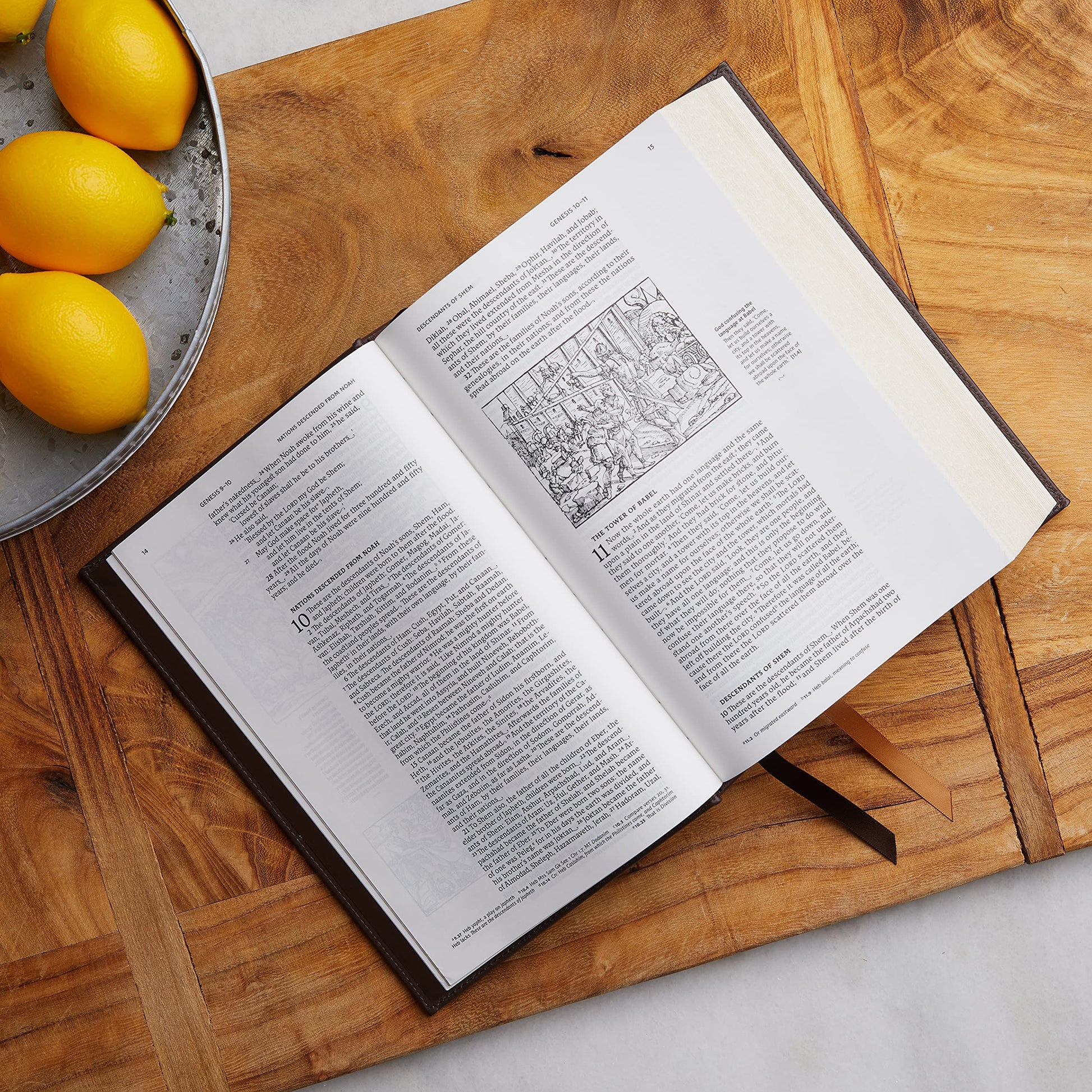 NRSVCE, Illustrated Catholic Bible, Leathersoft, Black, Comfort Print: Holy Bible