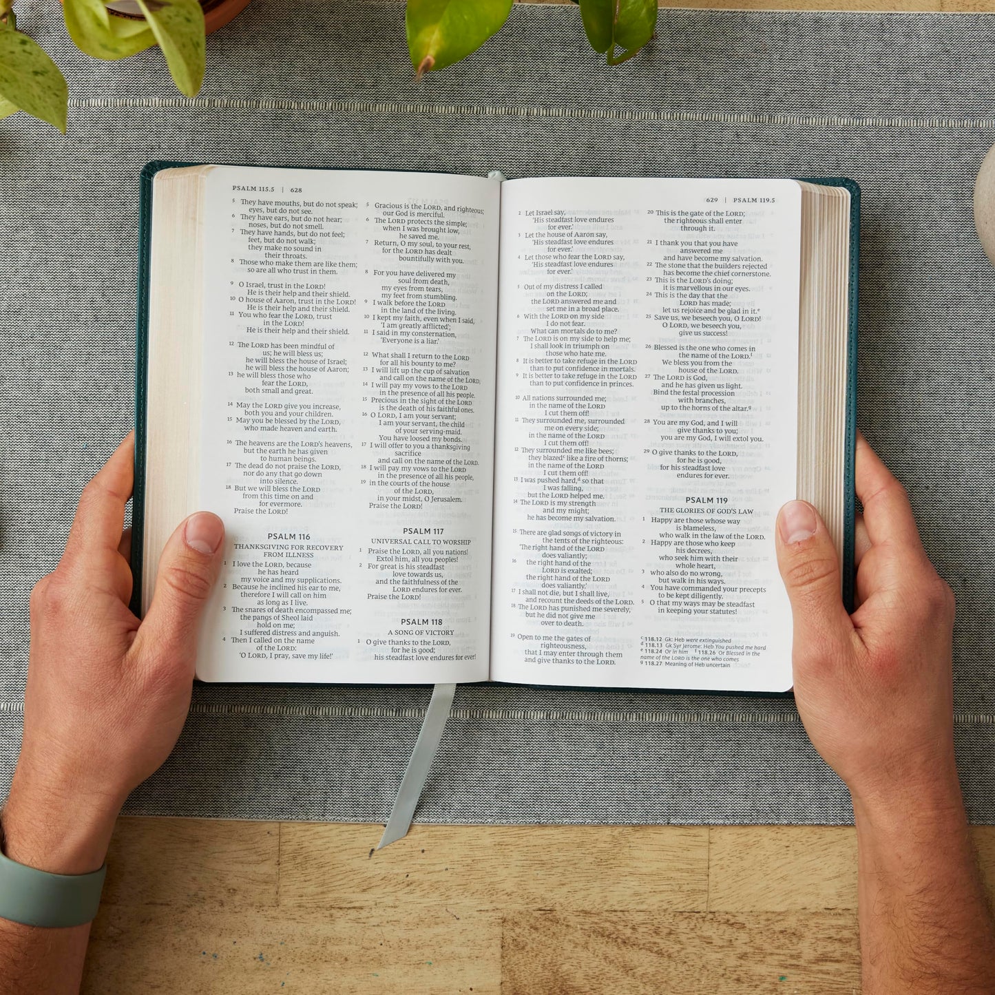 NRSV Catholic Edition Gift Bible, Brown Leathersoft (Comfort Print, Holy Bible, Complete Catholic Bible, NRSV CE): Holy Bible