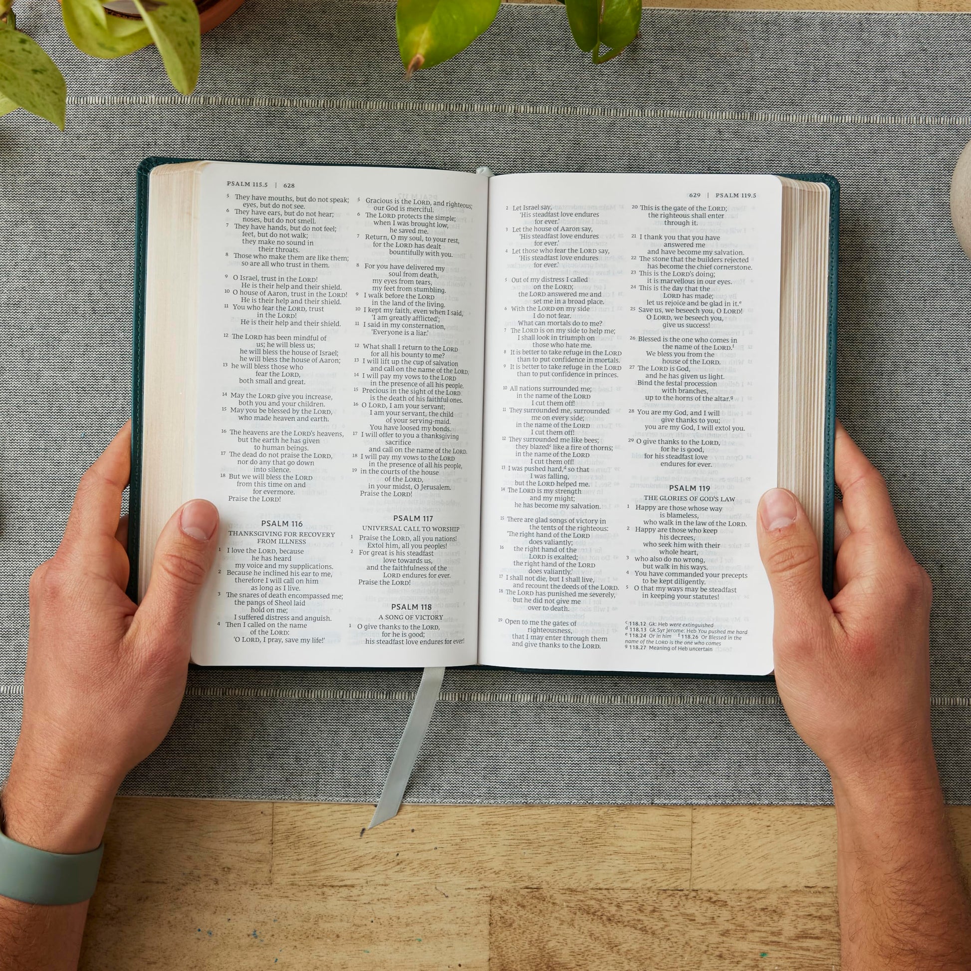 NRSV Catholic Edition Gift Bible, Brown Leathersoft (Comfort Print, Holy Bible, Complete Catholic Bible, NRSV CE): Holy Bible