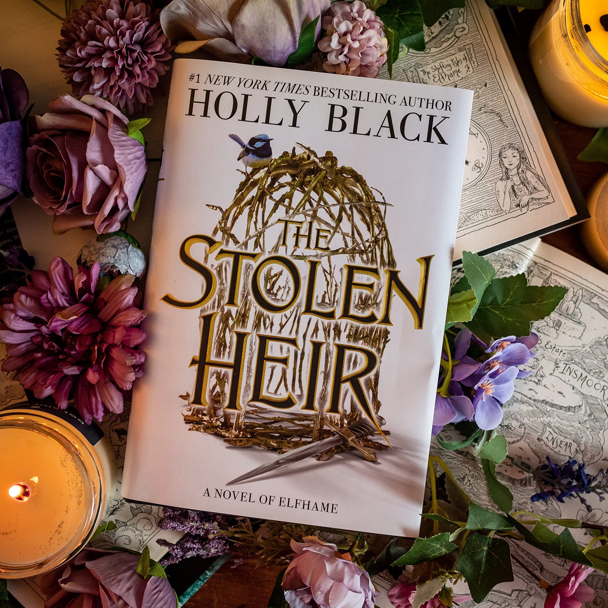 The Stolen Heir: A Novel of Elfhame (Volume 1) (The Stolen Heir, 1)