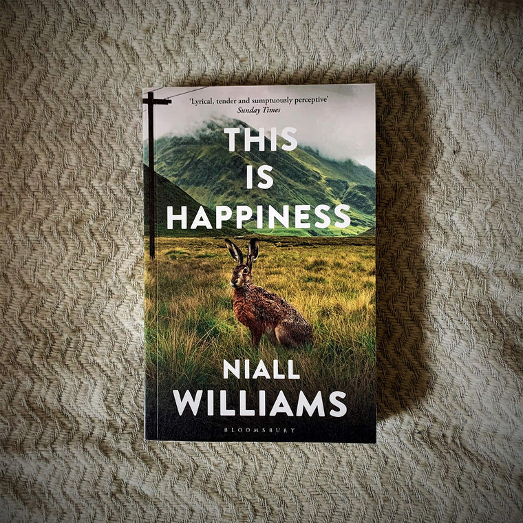 This Is Happiness — back cover