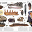 The Dinosaur Book by DK