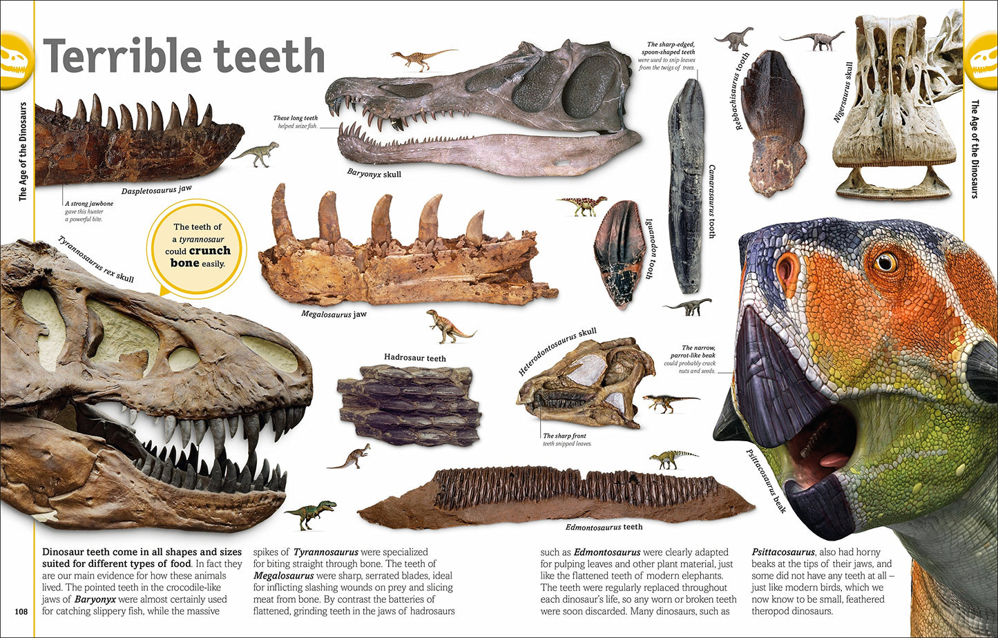The Dinosaur Book by DK