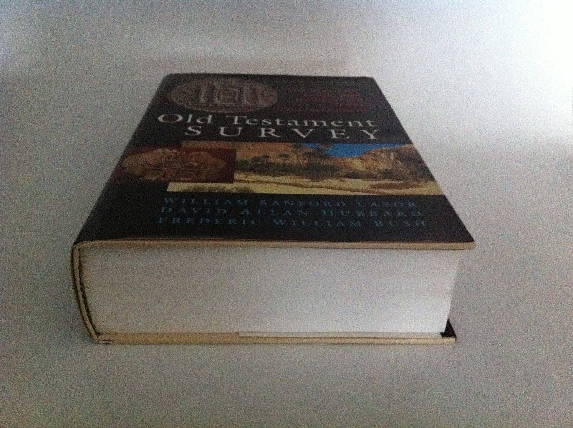 Old Testament Survey: The Message, Form, and Background of the Old Testament