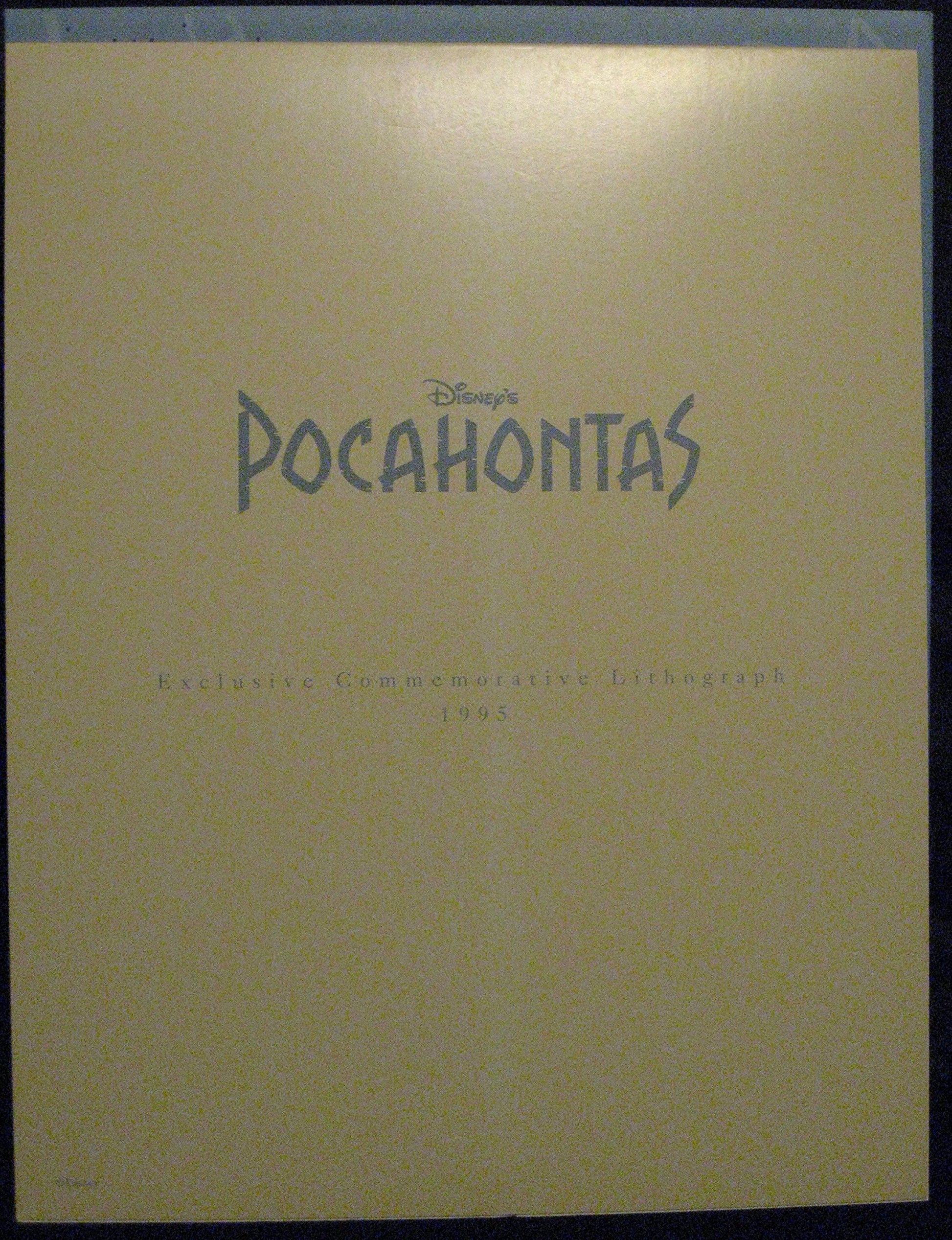 The Art of Pocahontas