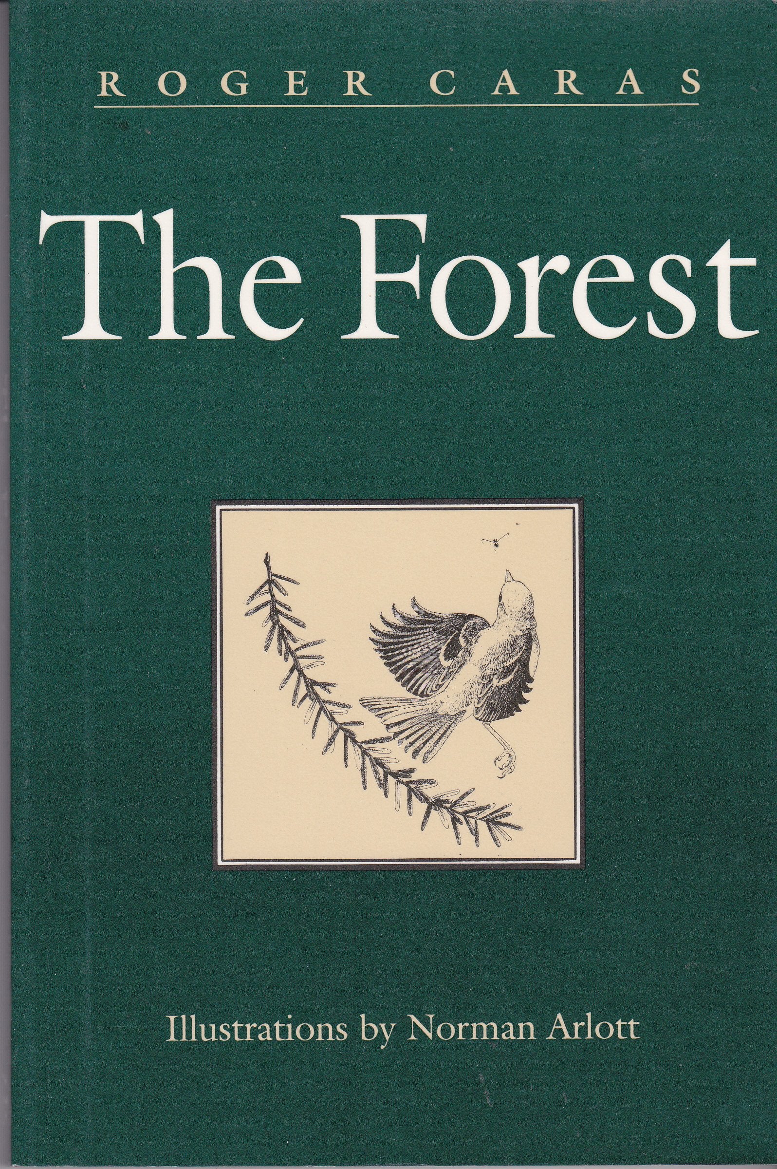 The Forest