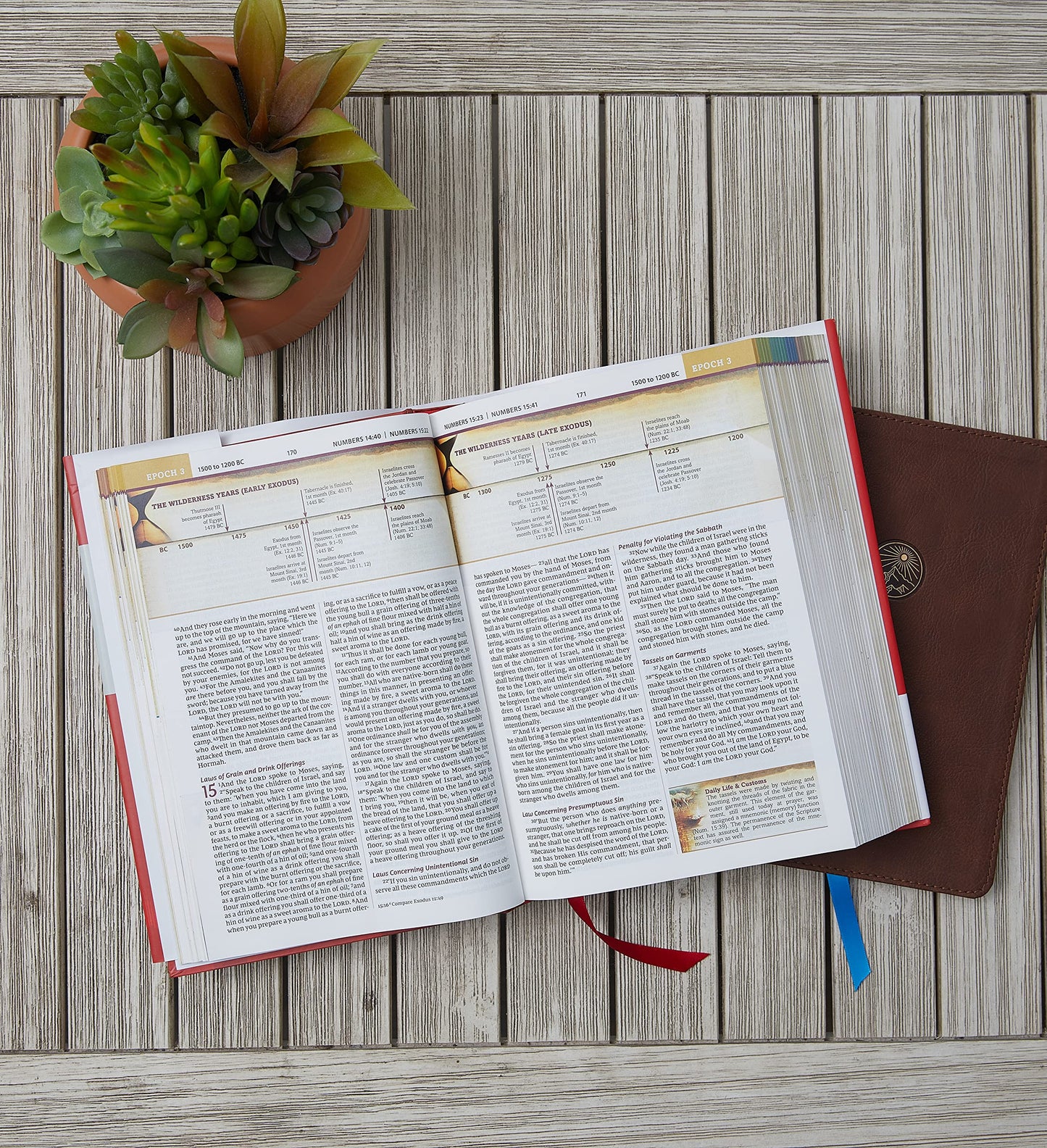 NKJV, Chronological Study Bible, Hardcover, Comfort Print: Holy Bible, New King James Version