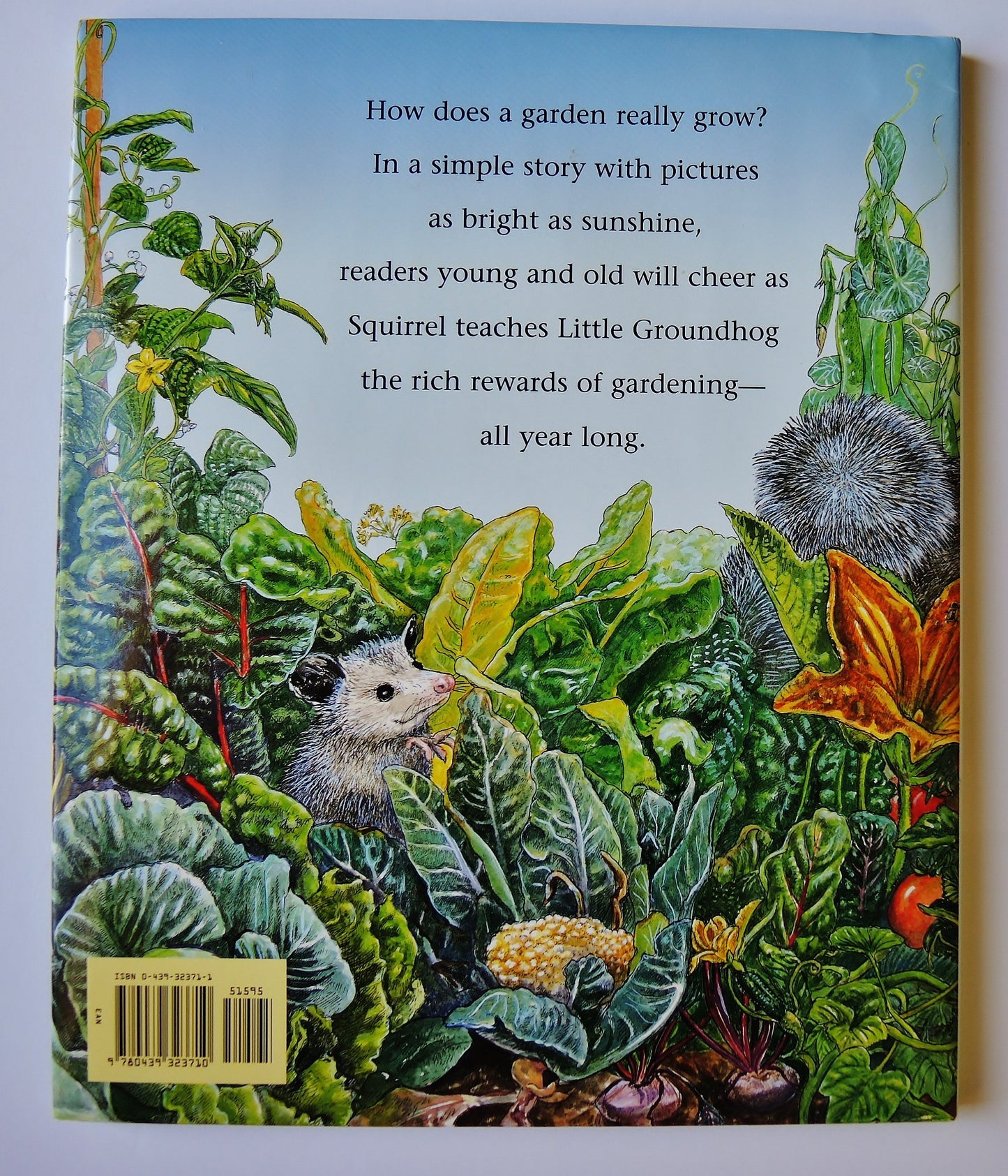 How Groundhog's Garden Grew by Cherry, Lynne
