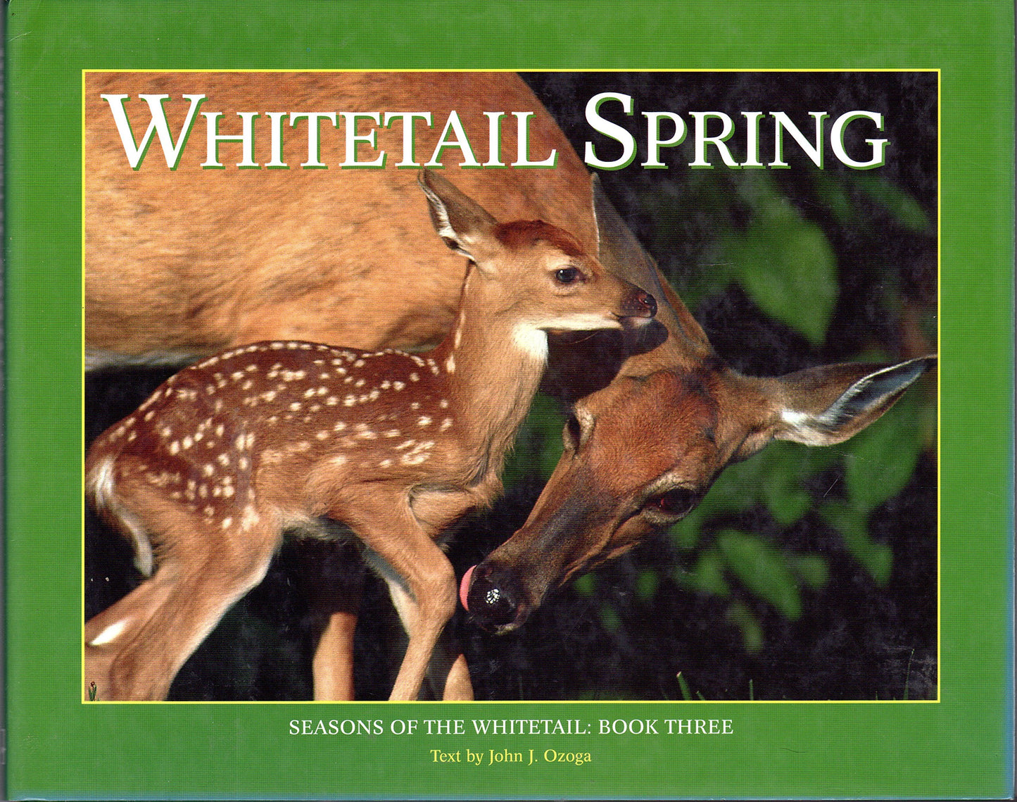 Whitetail Spring: Seasons of the Whitetail (Seasons of the Whitetail/John J. Ozoga, Bk 3)